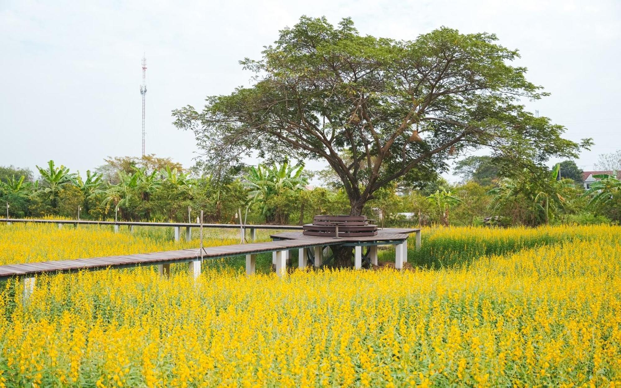 The Cavalli Casa Resort Phra Nakhon Si Ayutthaya Buitenkant foto